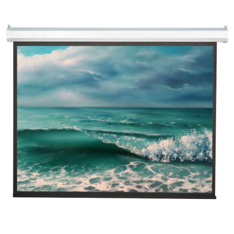 Моторизированный проекционный экран Viewscreen Antis 250" 16:9 (EAN-16903)