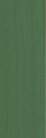 41zero42 Technicolor Green Bottle 5x37.5