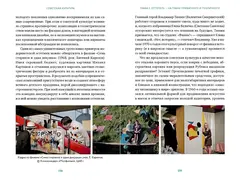 Советская культура. От большого стиля до первых рейвов