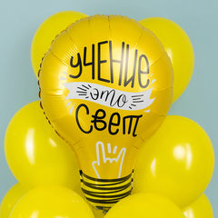 Аг Фигура, Лампочка, Учение это свет, 28''/71 см, 1 шт. (В упаковке)