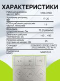 Широкополосная 3G/4G панельная MIMO антенна KAA20-1700/2700 (17-20 дБи)