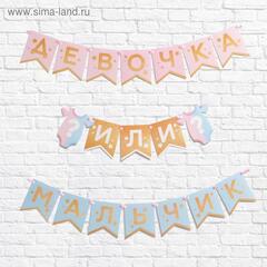 Гирлянда-флажки, Гендер пати, Мальчик или девочка, на ленте, 2,2 м, 1 шт.