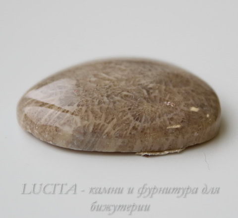 Кабошон Коралл 31,1х27,5х7,4 мм №15 ()