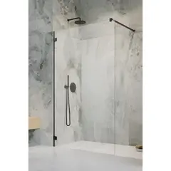 Radaway 10103135-54-01 Essenza Pro Black Walk-in 135 фото