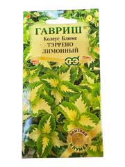 Колеус Тэррено лимонный (Гавриш)