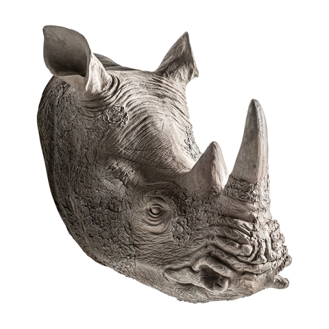 Фото: Бюст Rhinoceros - основной вид