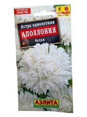 Астра Аполлония белая (Аэлита)