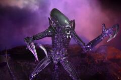Фигурка NECA Alien vs Predator: Razor Claws Alien