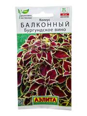 Колеус балконный Бургундское вино (Аэлита)