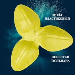 Молд пластиковый 