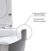 Berges Floe 082121 Унитаз подвесной 55 см, сиденье дюропласт Floe Slim SO, микролифт, быстросьем