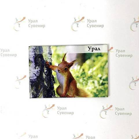 Урал Сувенир - Магнит Урал закатной 80*53 мм №0019