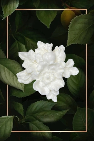 Отливка НШ 882 (7*7см)