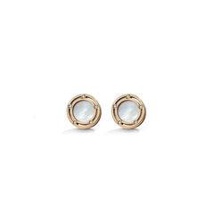 Damiani 20080439
