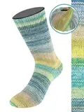 Пряжа Lana Grossa Meilenweit 100 Cotton Bamboo Positano 2567