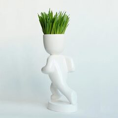 Набор для выращивания eco Бегун