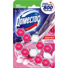 Блок для унитаза гигиенический Доместос Сила 5 Ледяная магнолия (2 штуки в упаковке)