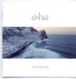 A-HA:  True North
