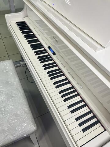 ROLAND   GР609