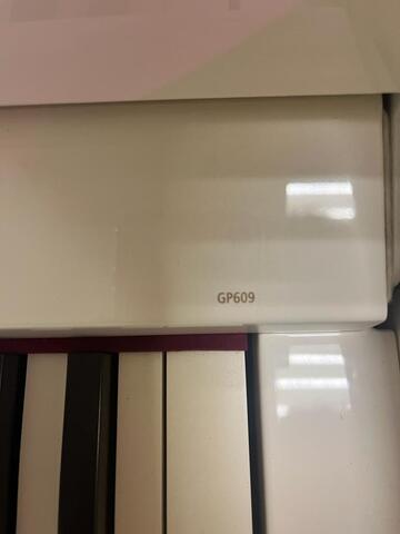 ROLAND   GР609