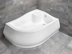 Radaway Korfu E 4E91240-03R Дверь душевая в нишу фото