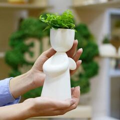 Набор для выращивания eco Ангелок