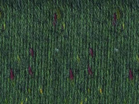 Fortissima Tweed 3104