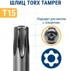 Бита отверточная ПРАКТИКА Профи Torx Tamper-15 х 25мм (2шт) (035-646)