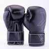 Перчатки Fight Expert Olympic Черный