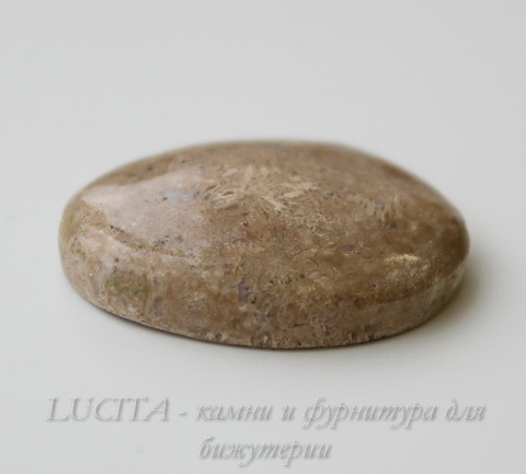Кабошон Коралл 29,5х23,8х6,3 мм №13 ()