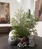 Статуэтка Cat ornament — фото 14