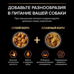Pro Plan сухой корм для собак мелких и карликовых пород (курица, рис) 700 г