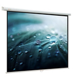 Экран Viewscreen Lotus WLO-16107