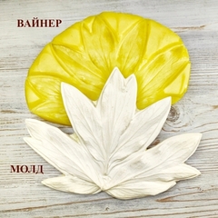 Молд пластиковый+Вайнер силиконовый 
