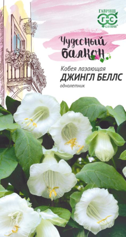 Семена Кобея лазающая Джингл Беллс, одн