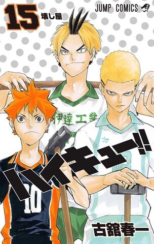 Haikyuu!! vol.15 (На японском языке)