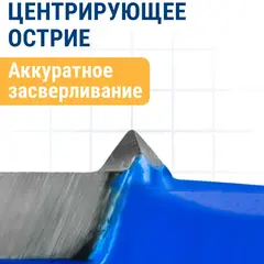 Сверло петельное Форстнера ПРАКТИКА 30 мм, твердосплавное (918-627)