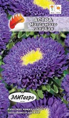 Семена Астра Матцумото голубая, Одн