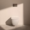 Ideal Standard Oleas R0117AA Клавиша смыва для унитаза хром