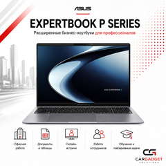 ASUS ExpertBook P Series