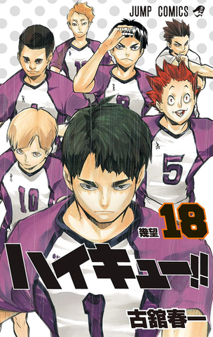 Haikyuu!! vol.18 (На японском языке)