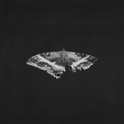 Виниловая пластинка Kendrick Lamar — To Pimp A Butterfly (10th Anniversary)