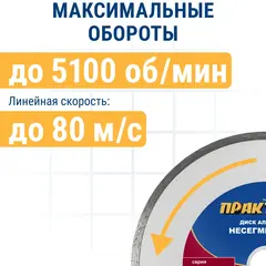Диск алмазный несегментный ПРАКТИКА Эксперт-керамогранит 300 х 25,4 мм (034-717)