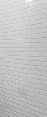 Панель ПВХ 3D Бланш фон 2700х250 мм