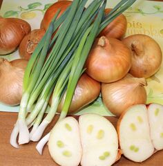 Лук-севок семейный Погарский местный улучшенный, 250 гр