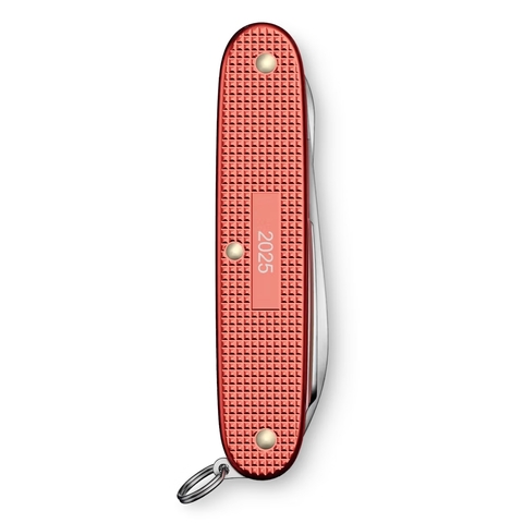 Нож Victorinox Pioneer X Alox LE 2025, Stone Red (0.8231.L25)