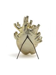 Ваза Love in Bloom Gold Gaint