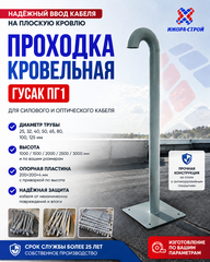 Проходка Гусак ПГ1 40-1000 с пластиной 200x200x4 с приваркой, грунт-эмаль RAL7040 1 слой