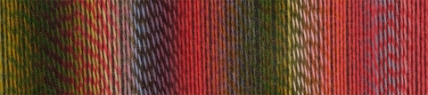 Zauberball Starke 6-ply 2516