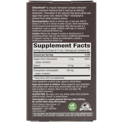 Nature's Way, Chlorofresh, капли с хлорофиллом, со вкусом мяты, 59 мл (2 жидких унции)